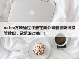 vatee万腾通过注册在美公司假冒获得监管牌照，欲蒙混过关！！